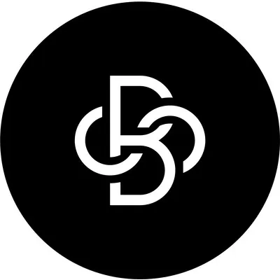 Schustermann & Borenstein logo