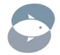 SCIMABIO Interface logo