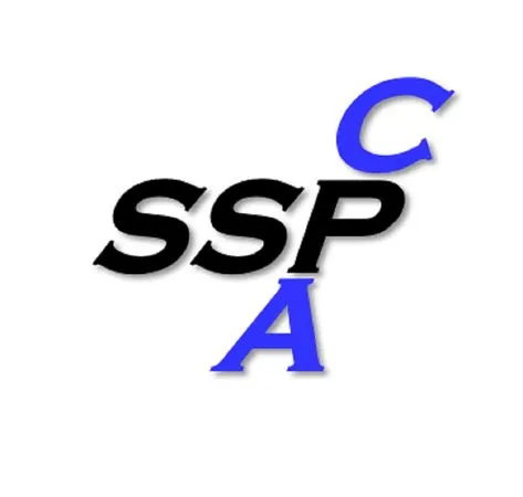 Scott S. Perry CPA logo
