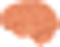 Scriptonova