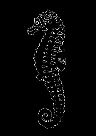 Sea Horse logo