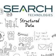 Search Technologies logo