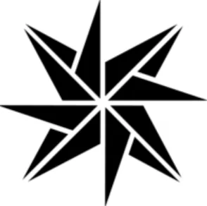 SeaStar Solutions logo