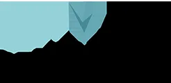 Self Esteem Brands logo