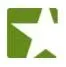 Star Asset Security logo