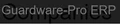 Securityguardingsoftware logo
