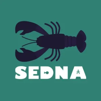 Sedna Technologies logo
