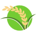 Seeds Producer