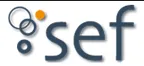 Sef Srl logo