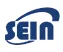 Sein Infotech logo