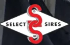 Select Sires logo