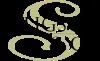 Seligson & Co Fund Management logo
