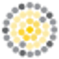 SELS Solar logo