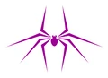 SENSPIDER logo