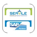 Servile Consulting
