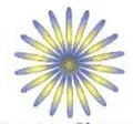 Sesillis