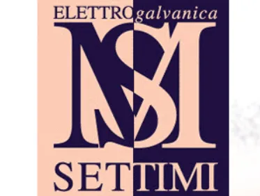 Elettrogalvanica Settimi logo