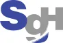 SG Holdings logo