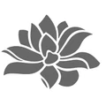 Shakti Himalaya