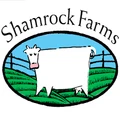 Shamrock Farms logo
