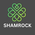 Shamrock Films and Animation Academy