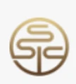 Shanghai State-owned Capital Investment logo
