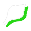 ShellSquare