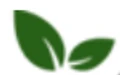 Shine Brand Seeds