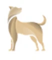 Shinyu logo