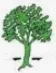 Shone Lumber logo