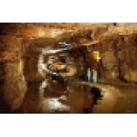 Showcaves logo