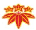 SIG GLOBAL logo