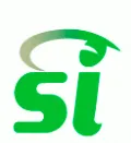 SI Government Solutions logo