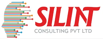 SILINT Consulting