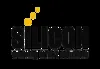 Silicon IT Solutions