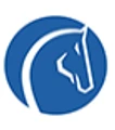 Silver Saddle Capital logo