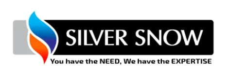 Silver Snow