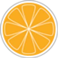 SilverCitrus logo