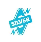 SilverGlobal logo