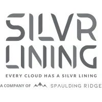 Silvr Lining Group logo