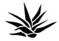 SipTequila logo