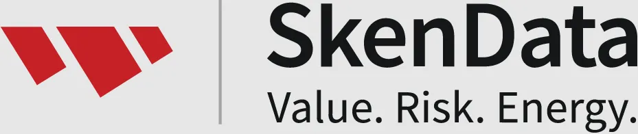 SkenData logo