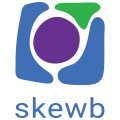Skewb logo
