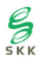skk-net logo