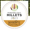 SkyRoots
