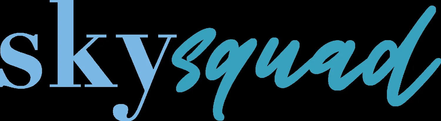 SkySquad logo