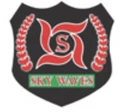 Skywaves Security