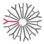 SN BioScience logo