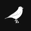 Snowfinch