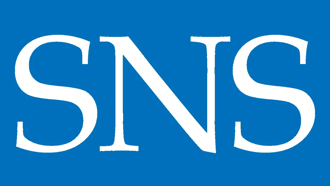 Secured Network Services logo